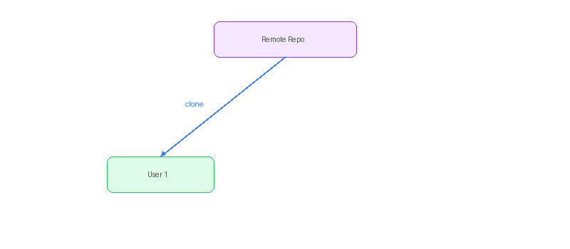 시나리오 1 다이어그램 — User1이 원격 저장소에서 Clone하는 모습