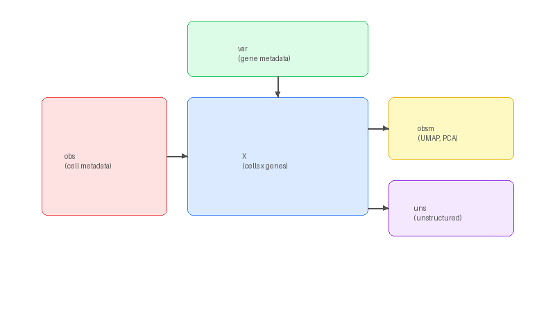 AnnData 객체의 구조를 나타낸 다이어그램