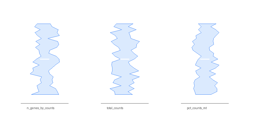 QC 바이올린 플롯